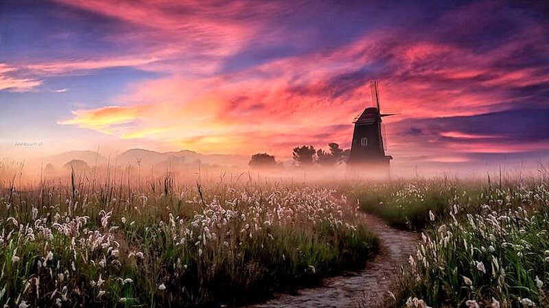 Windmill in Field — Pink
