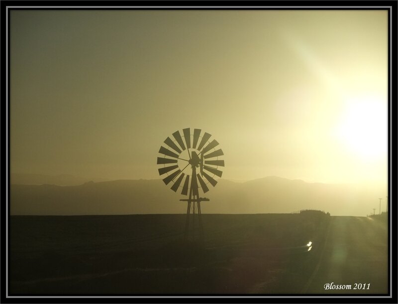 Windmill in Field