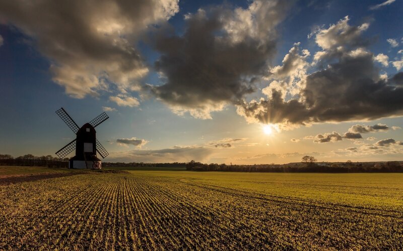 Windmill in Field — Yellow, Dramatic