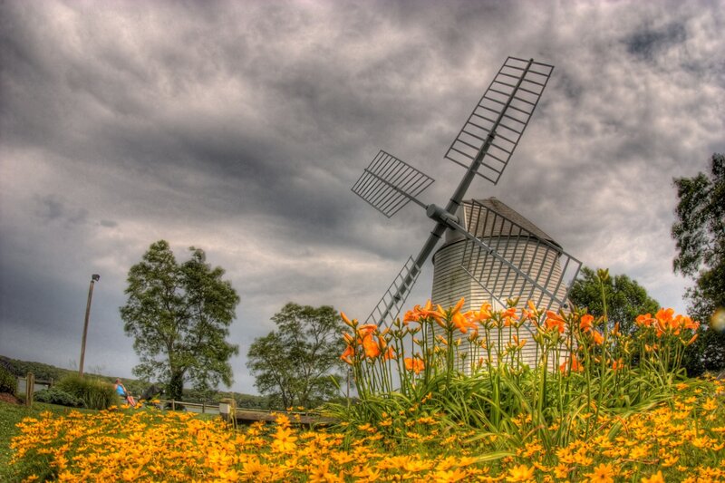 Windmill in Flower Field