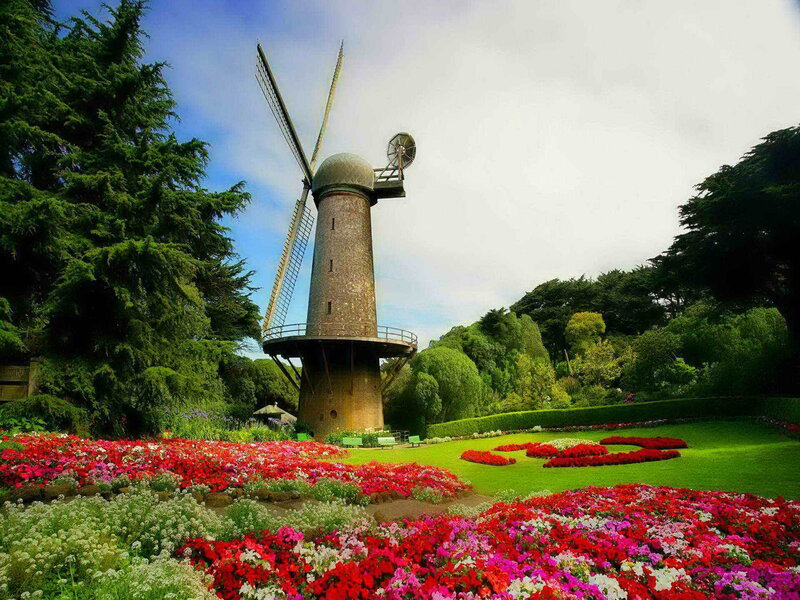 Windmill in Flower Garden — Red, Serene