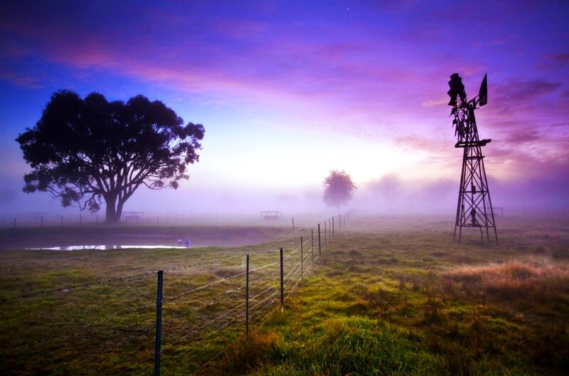 Windmill in Foggy Field — Purple