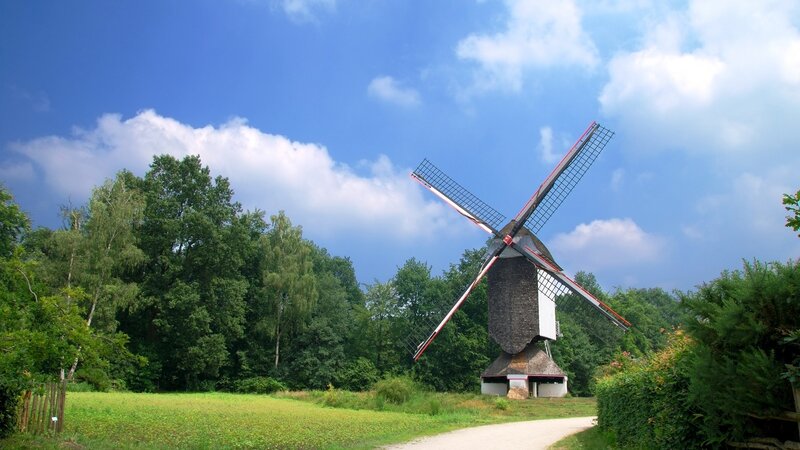 Windmill in Green Field — Blue, Serene