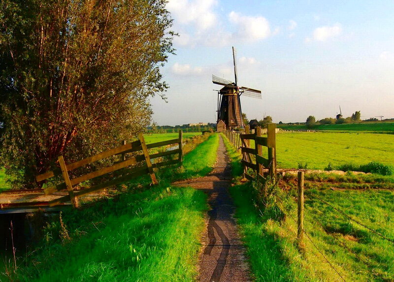 Windmill in Green Field — Serene, Afternoon, Photograph