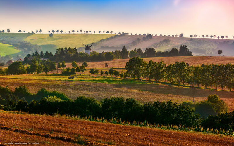 Windmill in Rural Landscape — Green