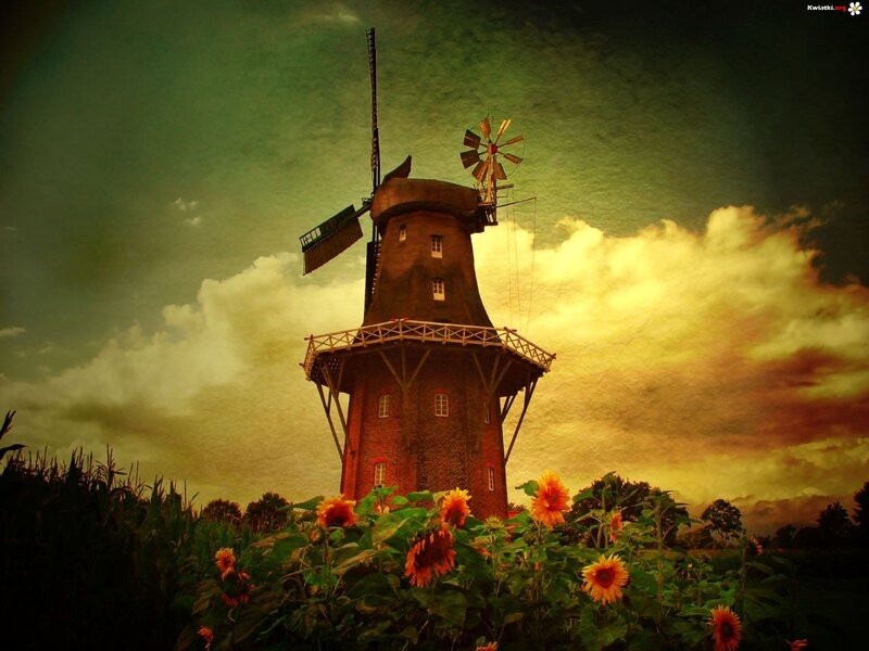 Windmill in Sunflower Field — Green