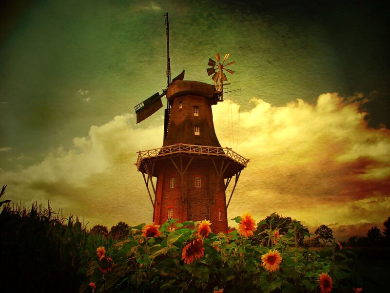 Windmill in sunflower field