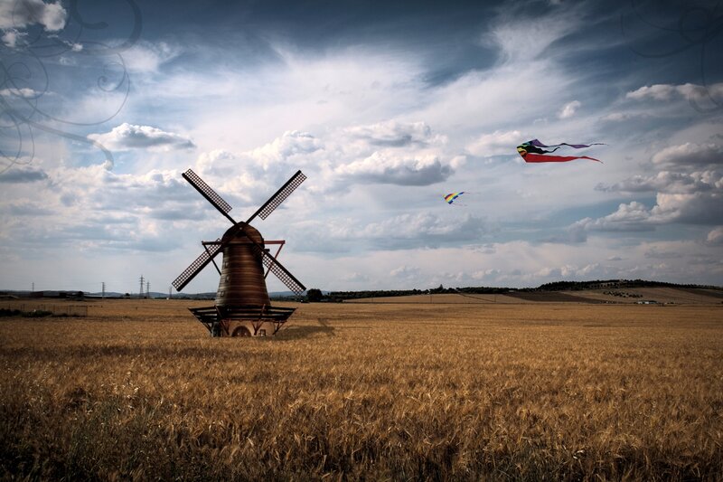 Windmill in Wheat Field — Brown