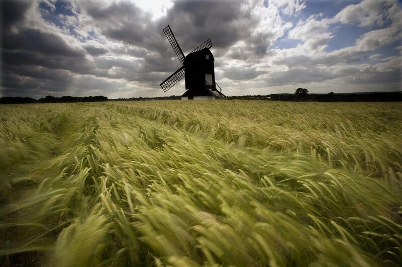 Windmill in Wheat Field — Green, Dramatic, Afternoon, Photograph, Wheat Field, Clouds, Trees