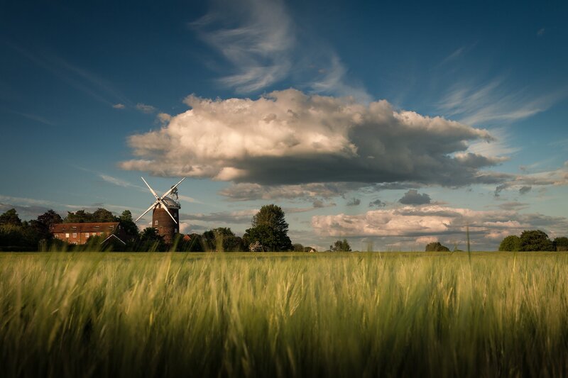 Windmill in Wheat Field — Green, Serene, Afternoon