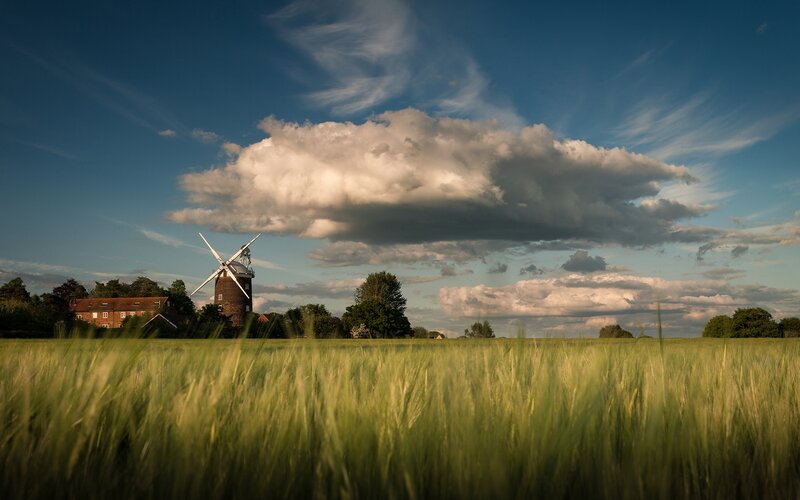 Windmill in Wheat Field — Green, Serene