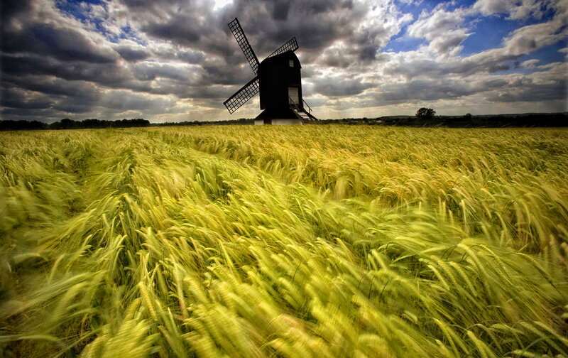 Windmill in Wheat Field — Green