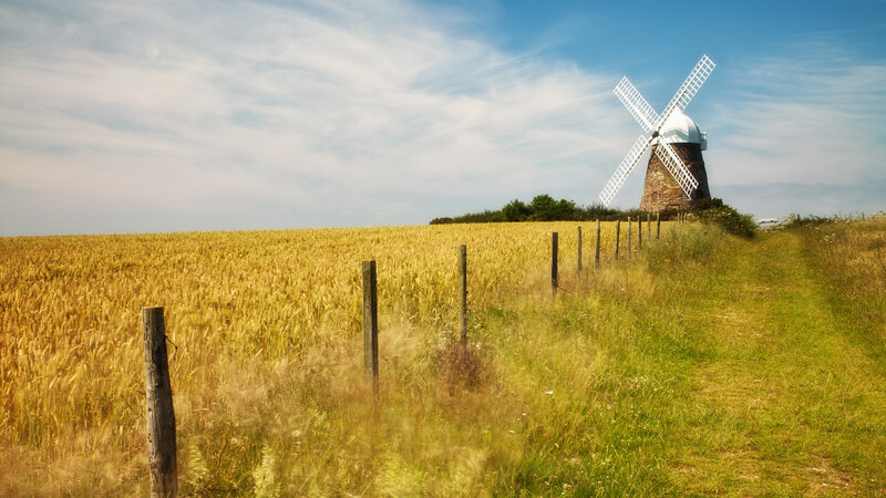 Windmill in Wheat Field