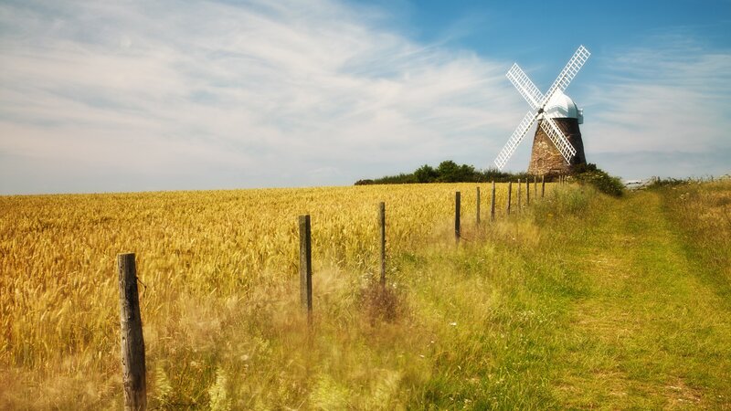 Windmill in Wheat Field — Yellow, Serene