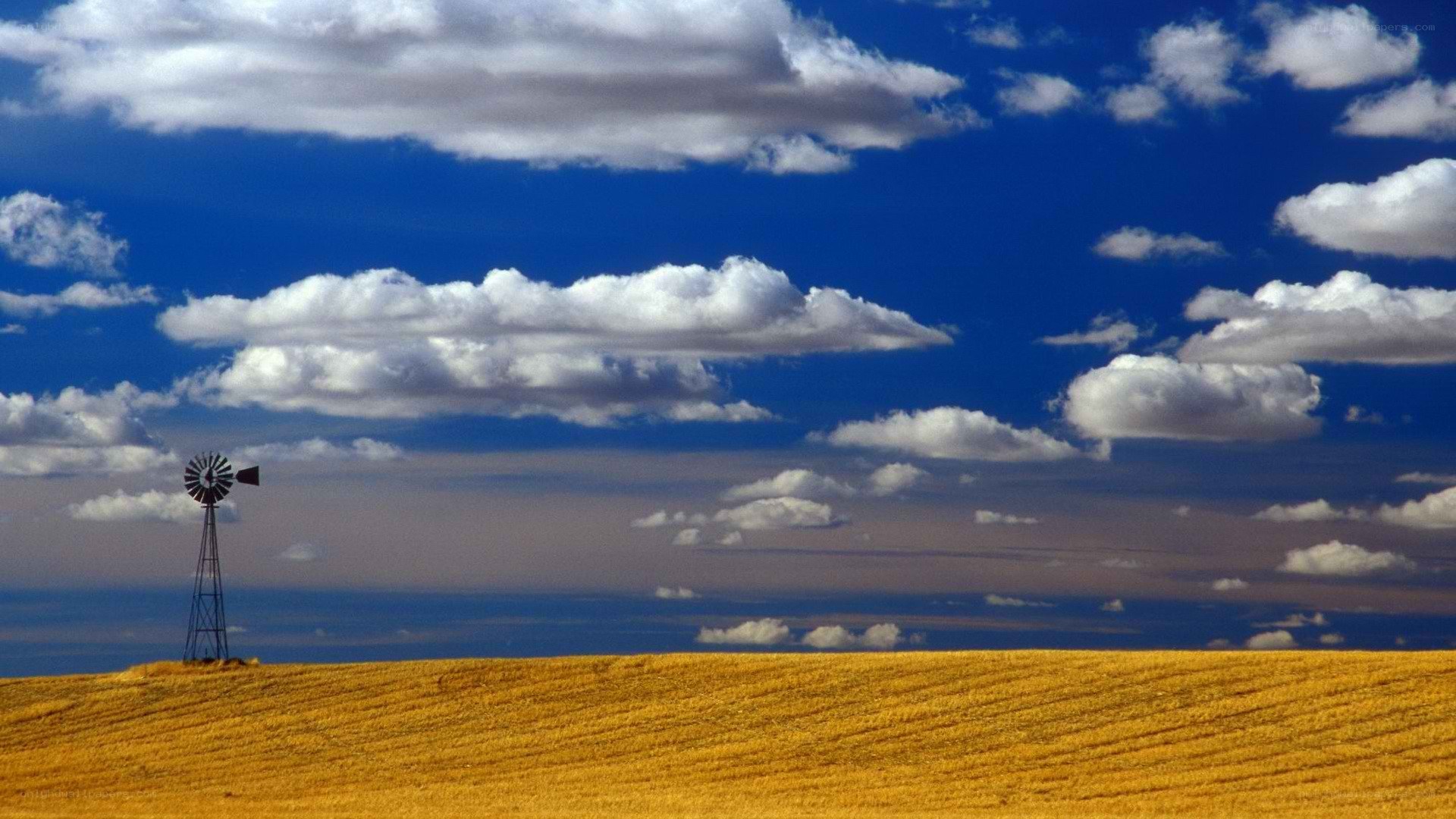 Windmill on a golden field