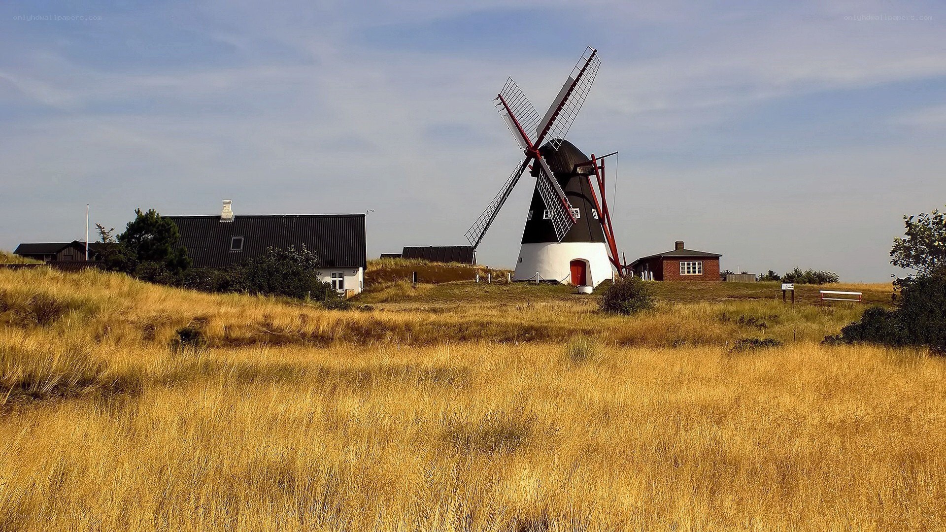 Windmill on a grassy hill