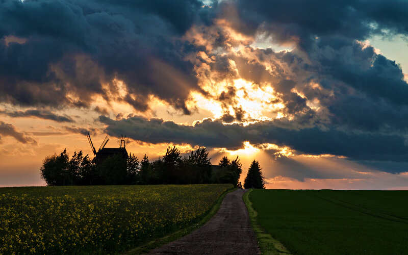 Windmill on a Hill — Yellow, Dramatic