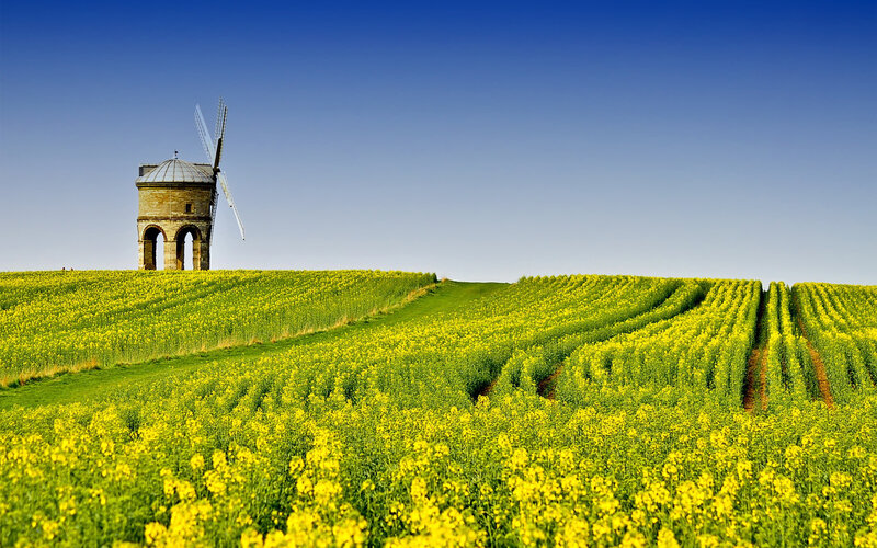 Windmill on a Hill — Yellow