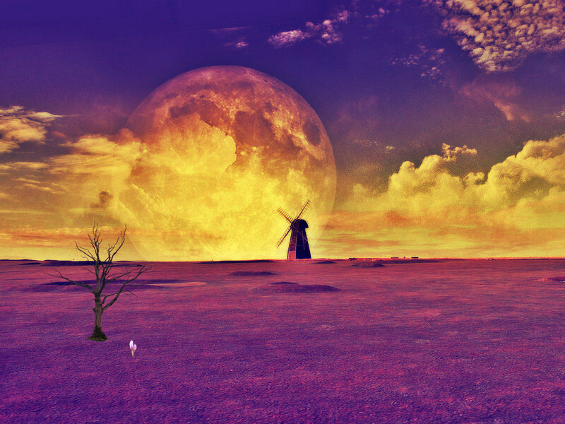 Windmill on Barren Land