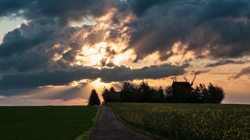 Windmill on Hill at Sunset — Yellow