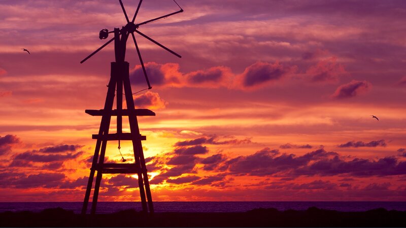 Windmill Silhouette — Purple