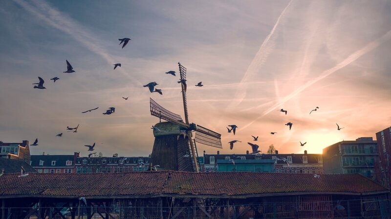 Windmill with Birds