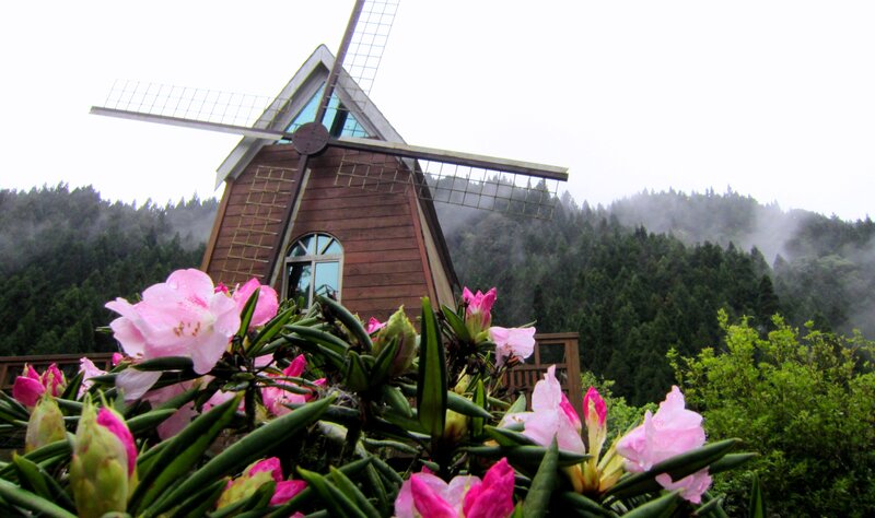 Windmill with Flowers