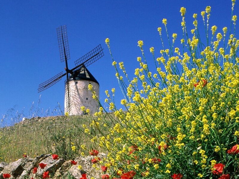 Windmill with yellow flowers