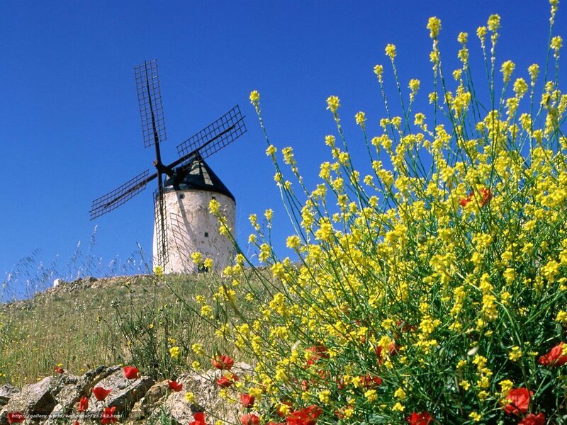 Windmill with yellow flowers
