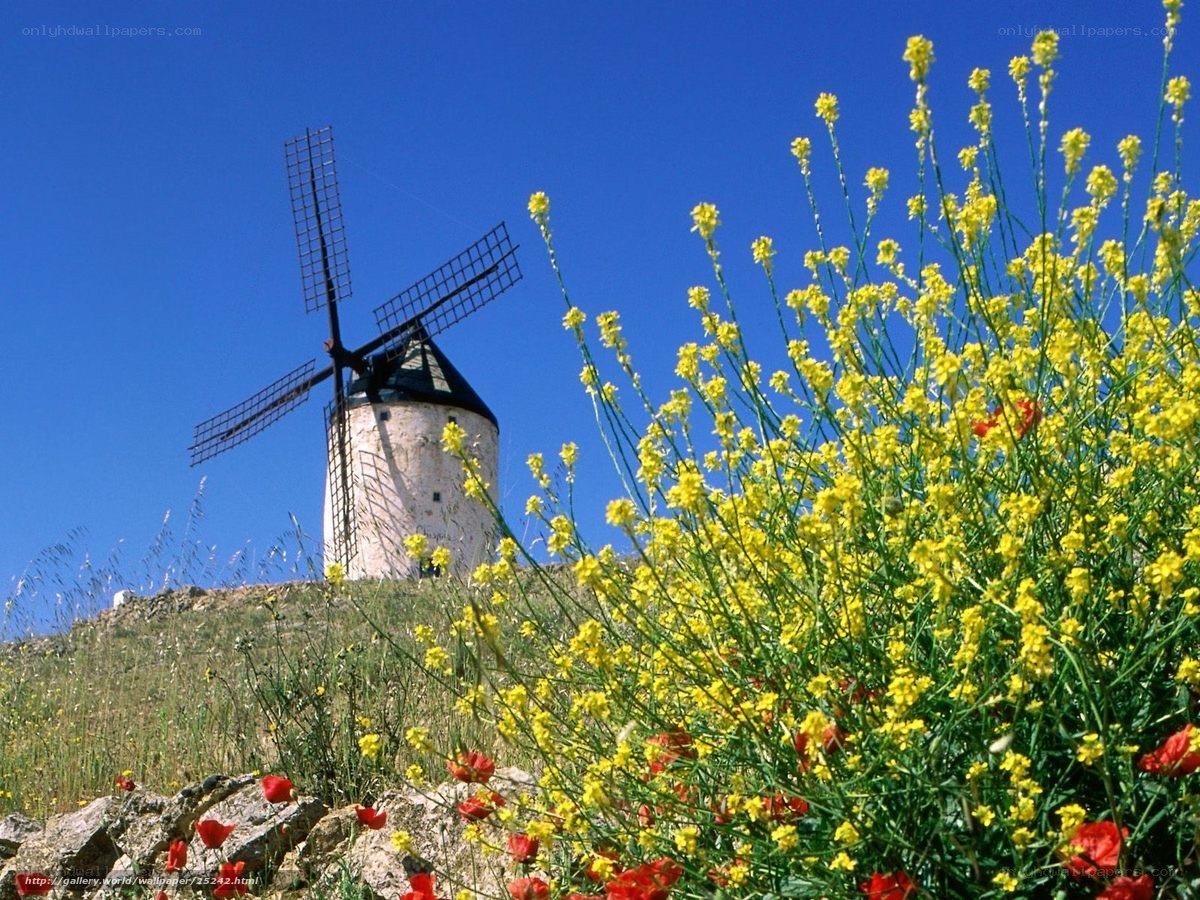 Windmill with yellow flowers