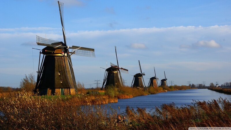 Windmills Along a Canal — Blue, Serene, Afternoon, Photograph, Reeds