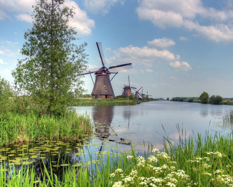 Windmills Along a Canal — Green