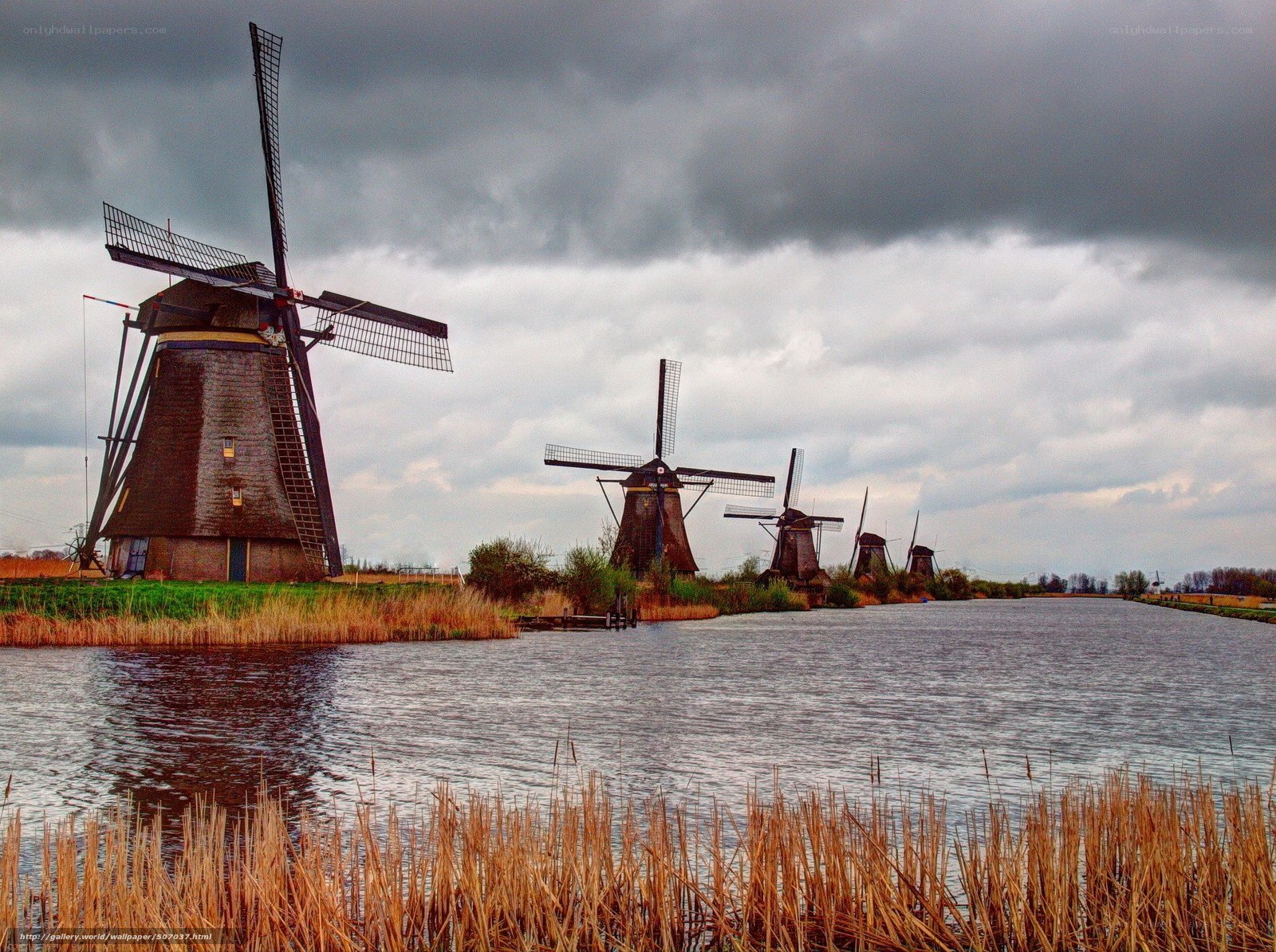 Windmills along a Dutch canal