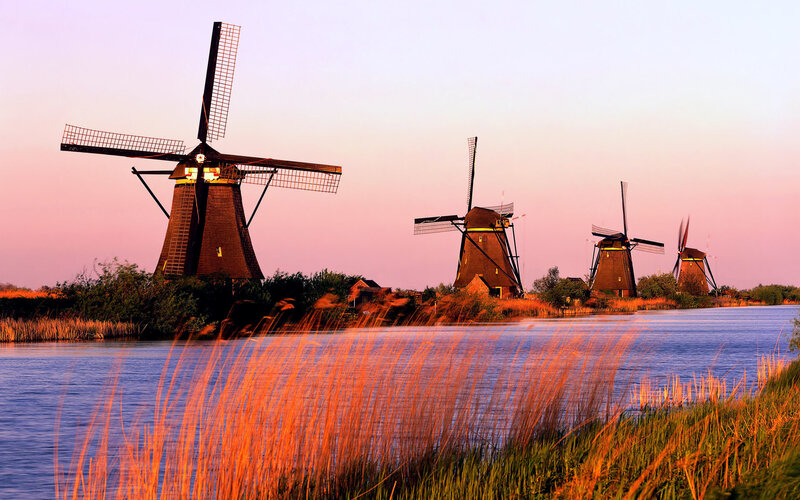 Windmills Along a River — Pink, Serene, Sunset