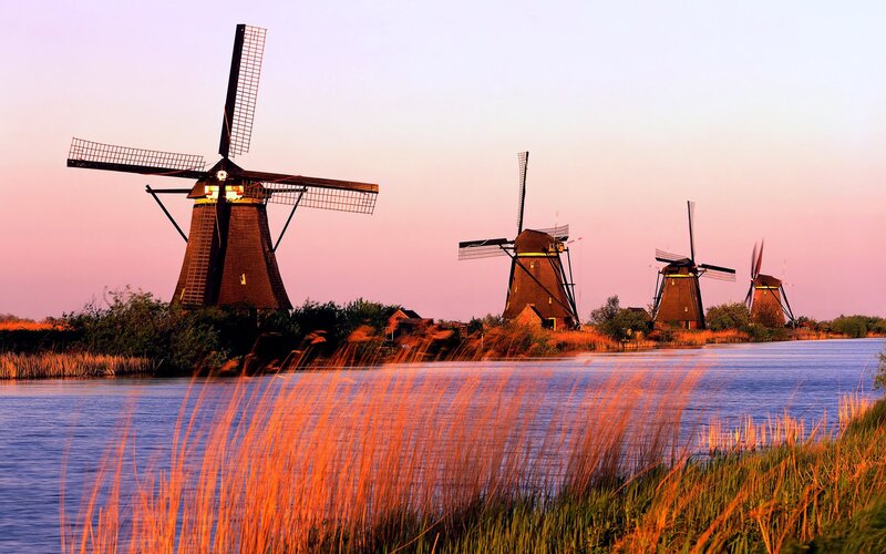 Windmills Along a River — Pink, Serene