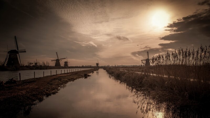 Windmills Along Canal — Brown