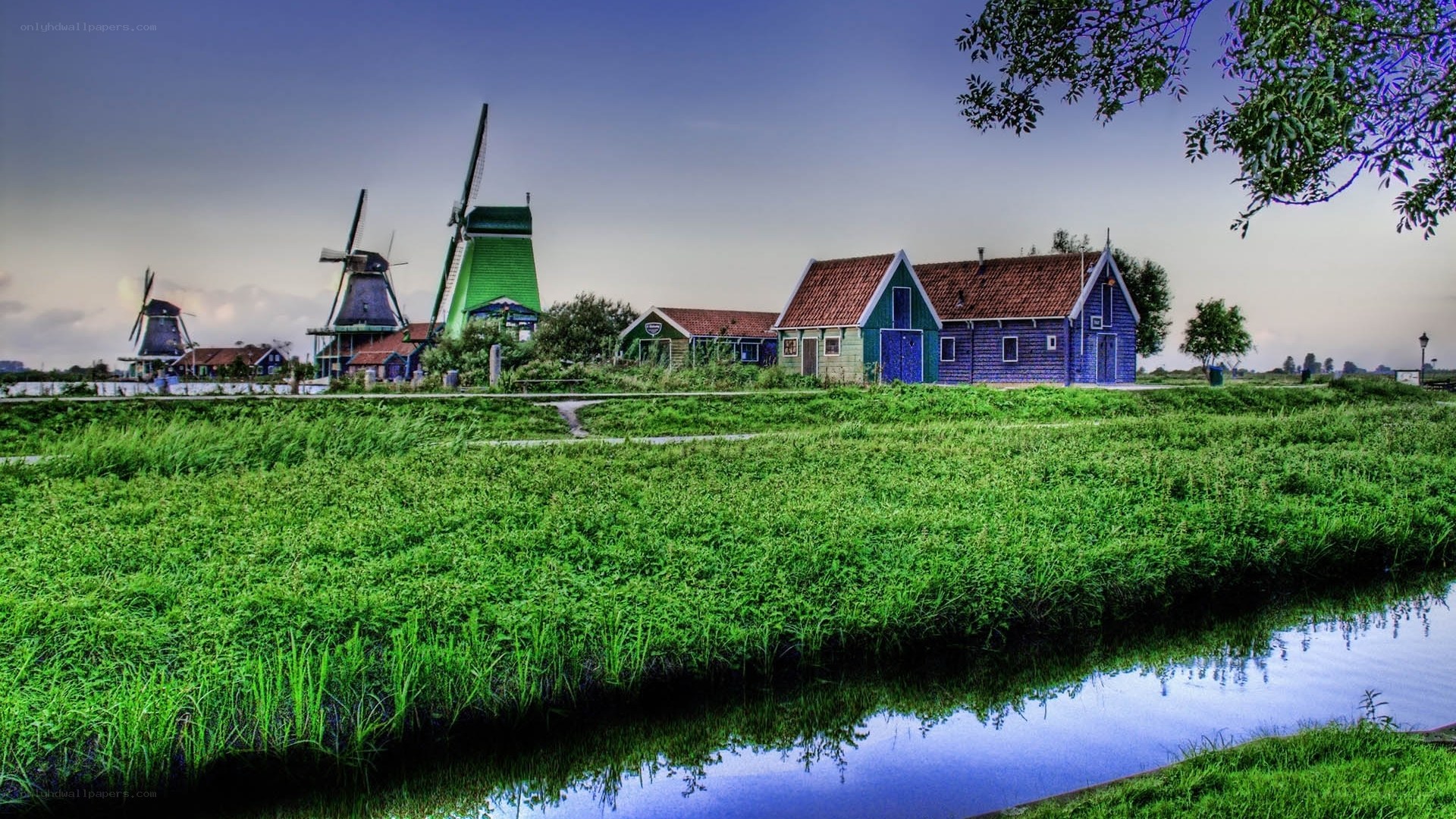 Windmills and canal in Netherlands