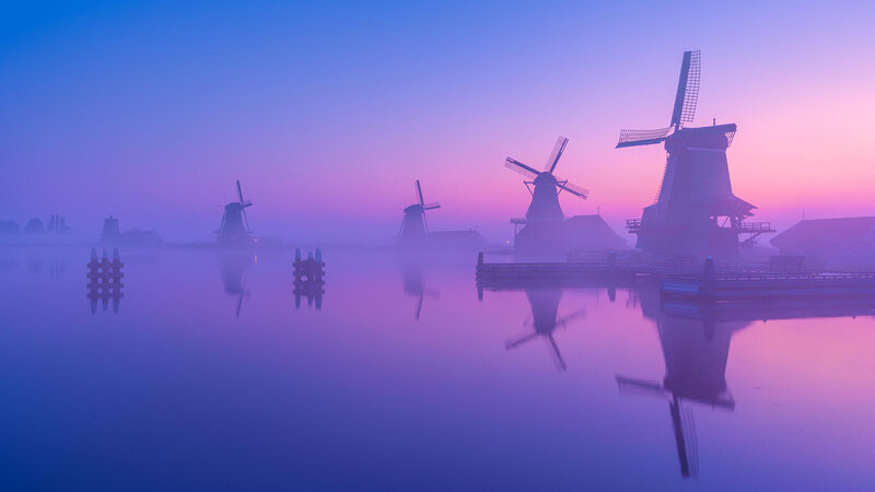 Windmills at Dawn — Purple