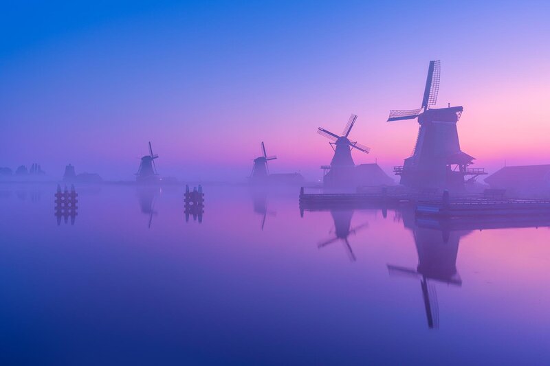 Windmills at Dawn