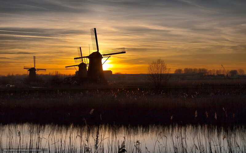 Windmills at sunset