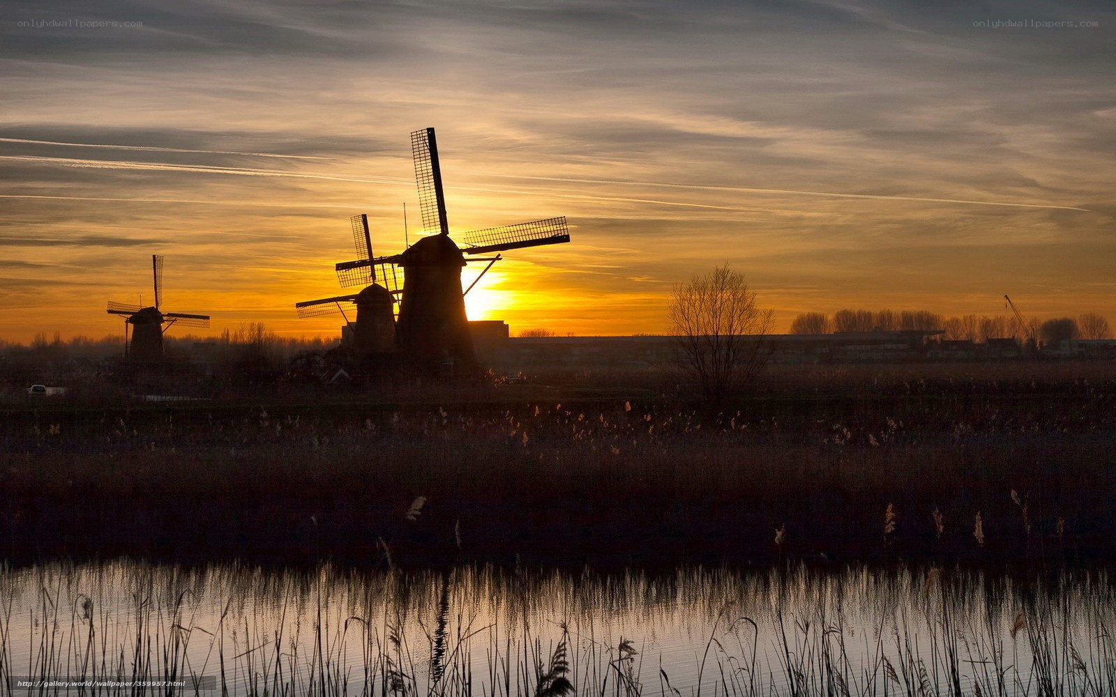 Windmills at sunset