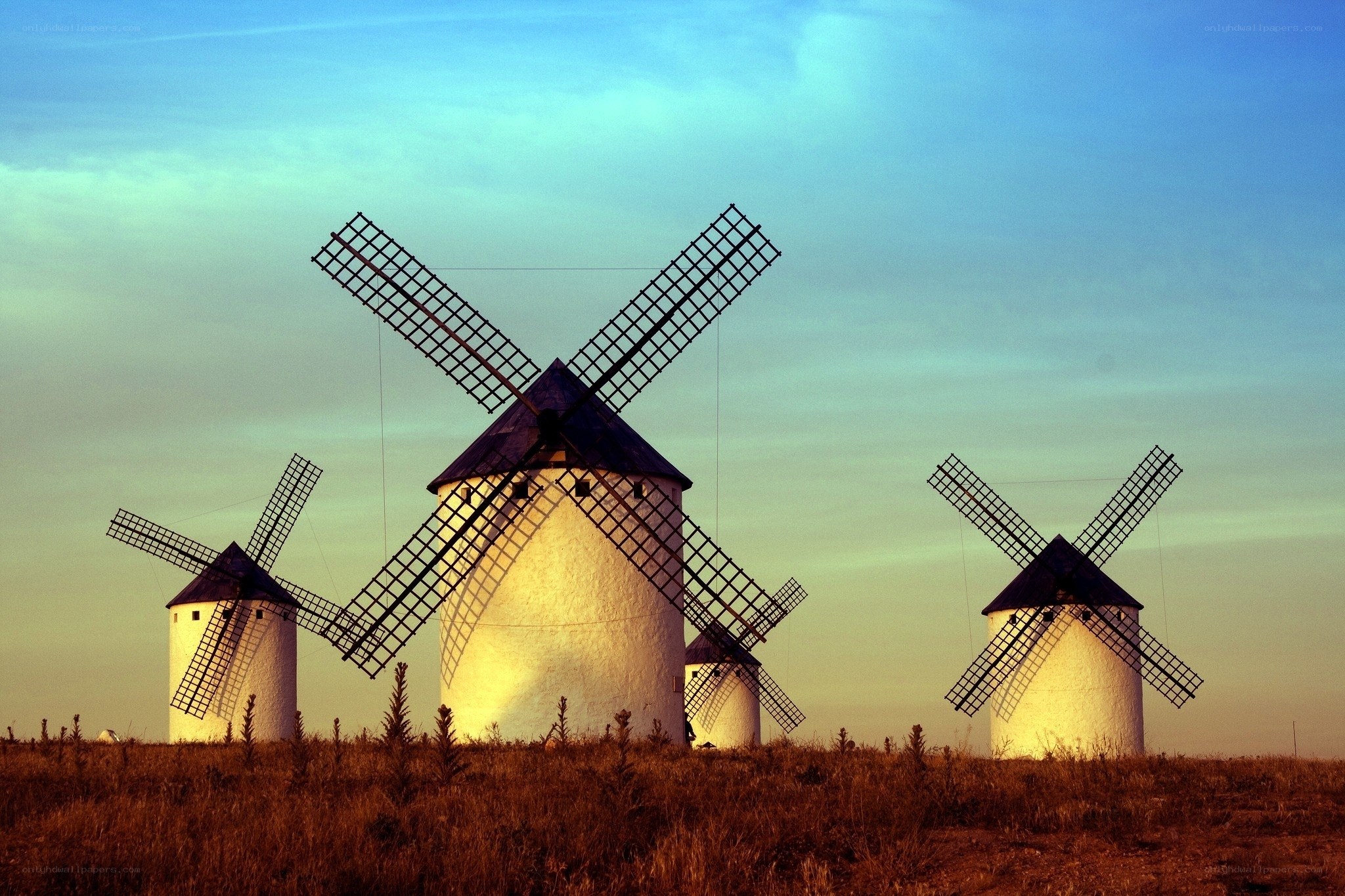Windmills at sunset