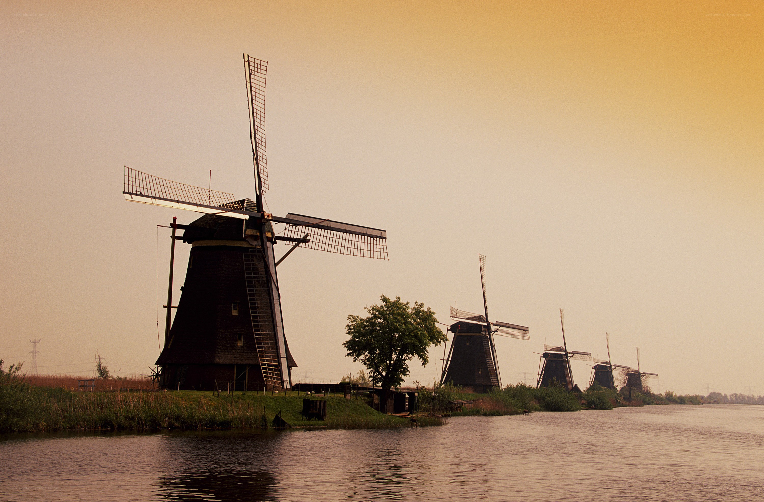 Windmills at sunset