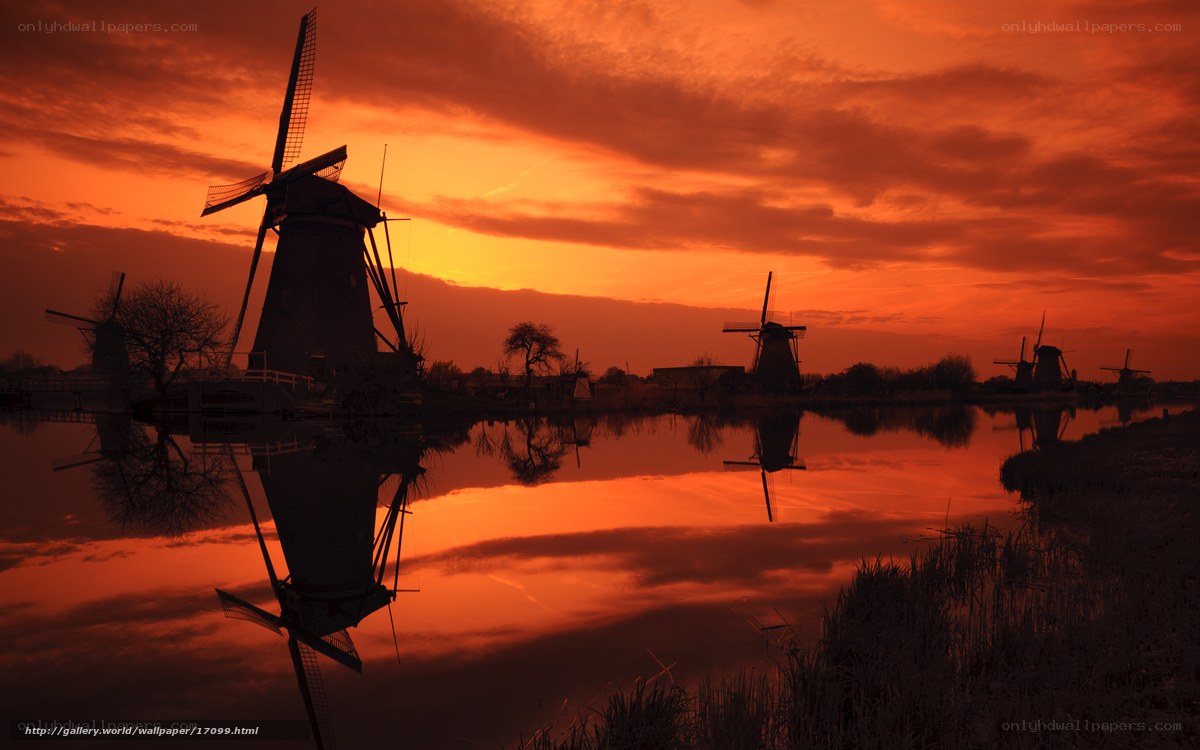 Windmills at sunset
