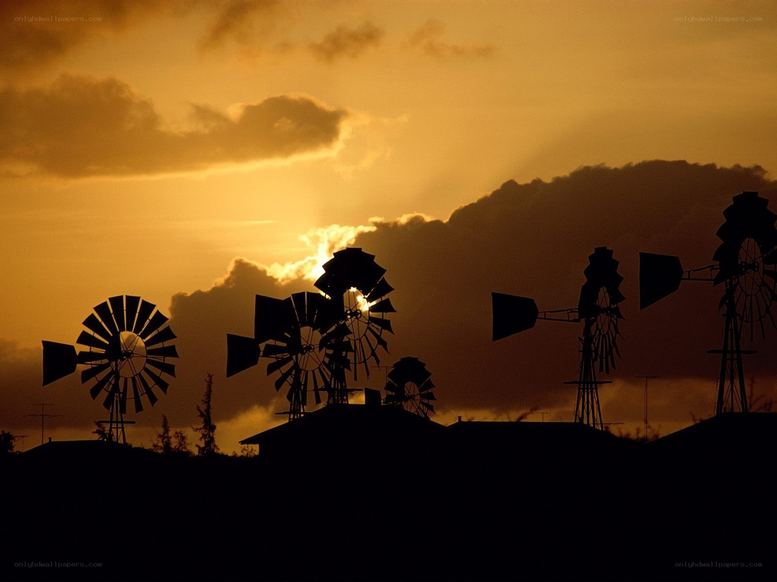 Windmills at sunset