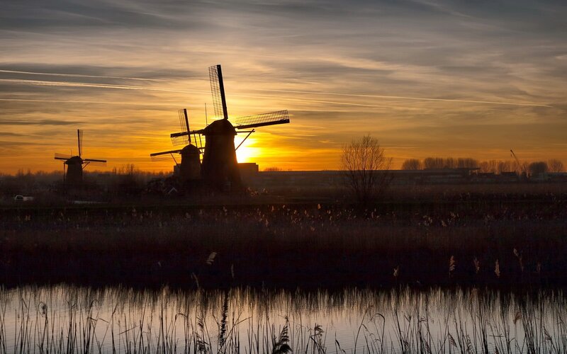 Windmills at sunset
