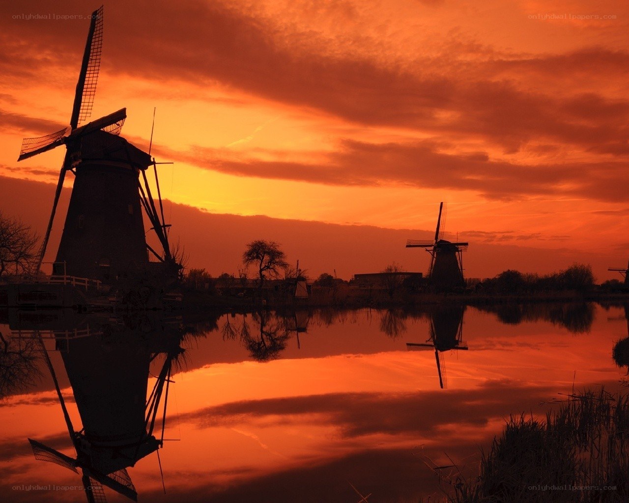 Windmills at sunset