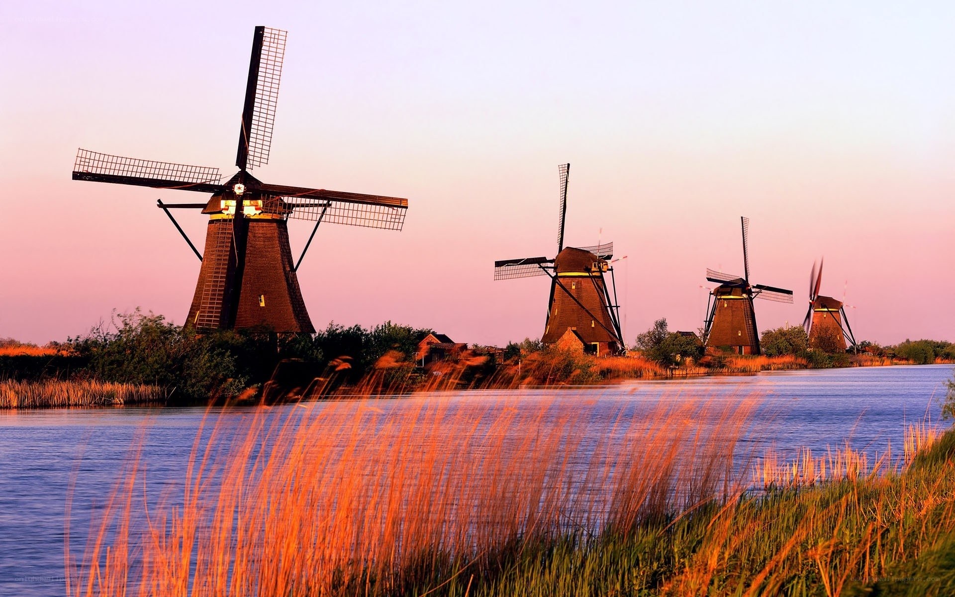 Windmills at sunset
