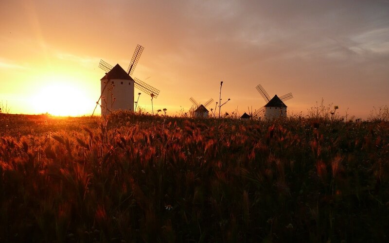 windmills at sunset