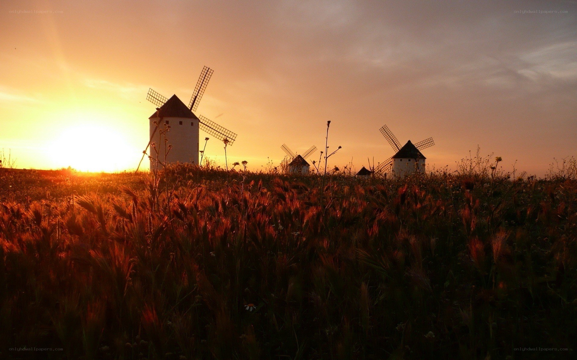 windmills at sunset